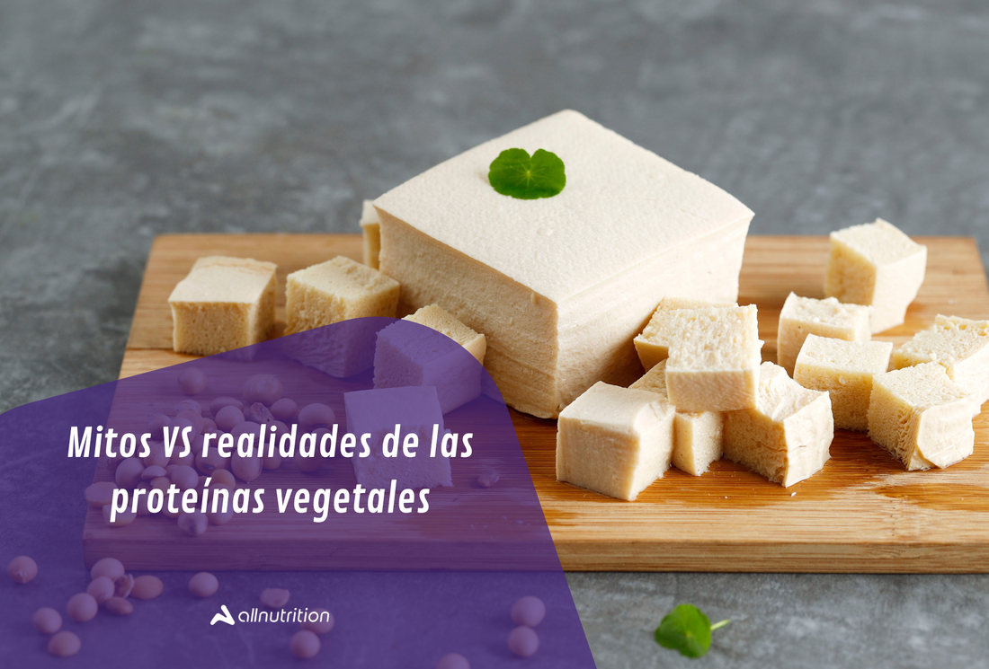 Mitos vs realidades de las proteínas vegetales