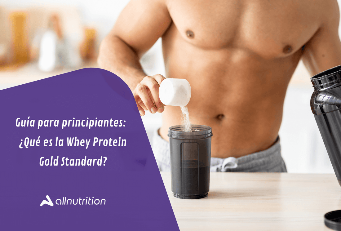 Guía para principiantes:  ¿Qué es la whey protein gold standard?