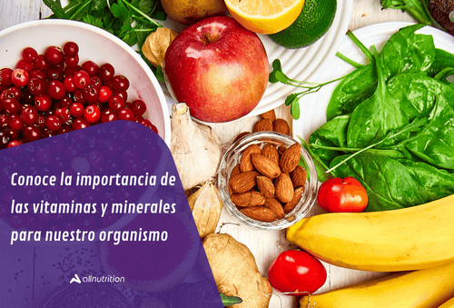 Conoce la importancia de las vitaminas y minerales para nuestro organismo