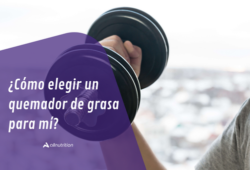 ¿Cómo elegir un quemador de grasa para mí?
