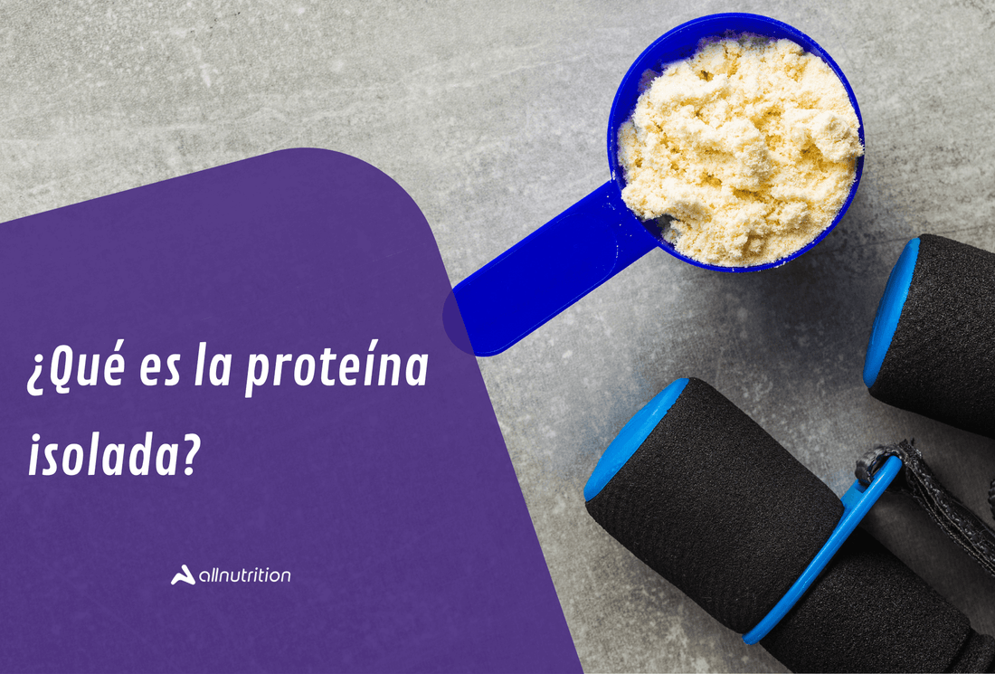 ¿Qué es la proteína isolada?