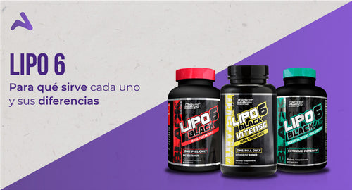 Lipo 6 Black de Nutrex: Conoce las diferencias entre cada quemador de grasa