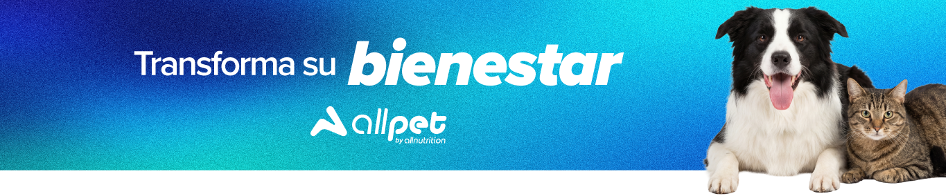 Masticables Para Gatos