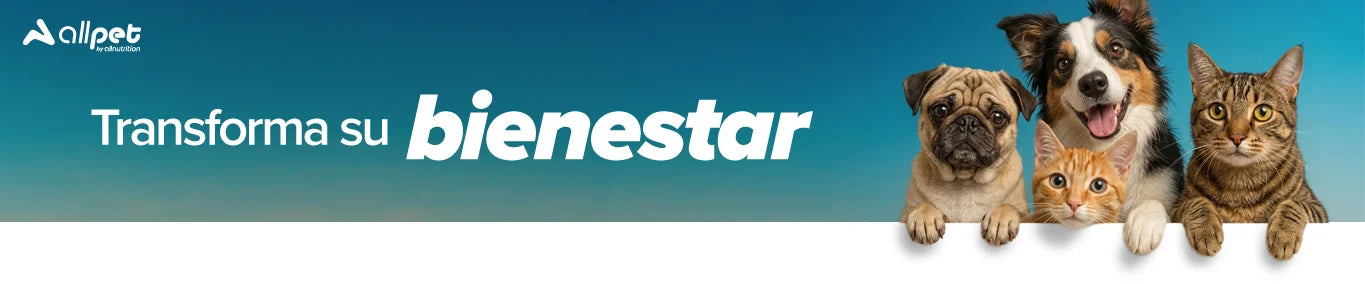 Salud y Bienestar Perruno