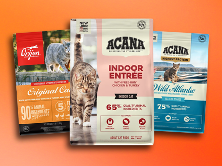 Alimento para gato