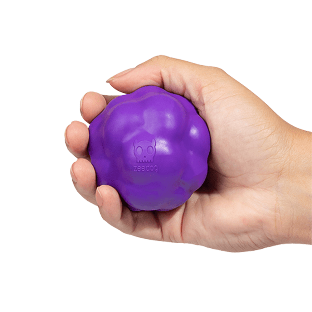Juguete House 3D Ball Toy Zee.Dog | All Pet